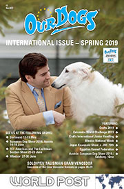 INTERNATIONAL SPRING ISSUE - Rest of world (6.00 total inc p&p)