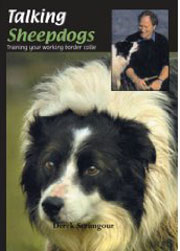 TALKING SHEEPDOGS - TRAINING YOUR WORKING BORDER COLLIE