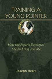 TRAINING A YOUNG POINTER