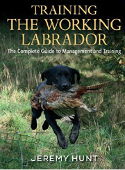 TRAINING THE WORKING LABRADOR