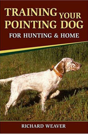 TRAINING YOUR POINTING DOG