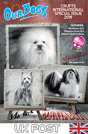 CRUFTS INTERNATIONAL SPECIAL 2019 - 4.50 inc 1st class UK post