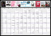 A2 WALL PLANNER 2021 - IN STOCK