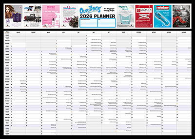 A2 WALL PLANNER 2026