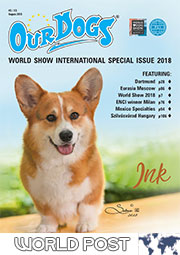 WORLD DOG SHOW SPECIAL 2018 - Rest of world (6.00 total inc p&p)