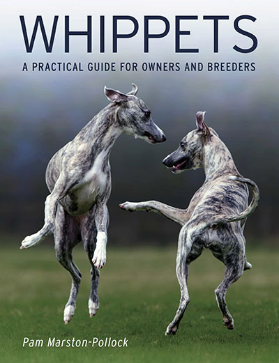 Whippets - A Practial Guide to Owners and Breeders